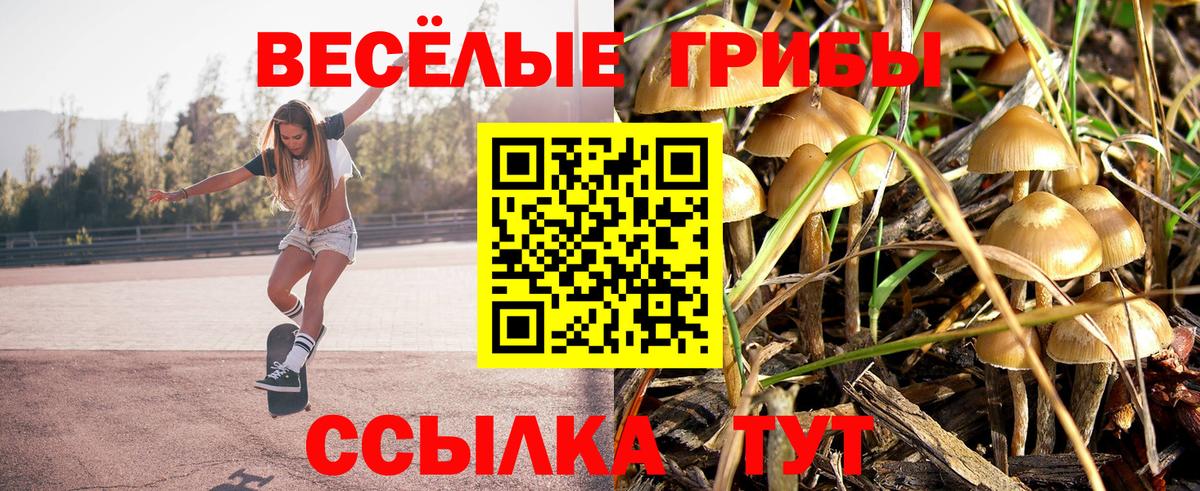 Галлюциногенные грибы ЛСД Прохладный