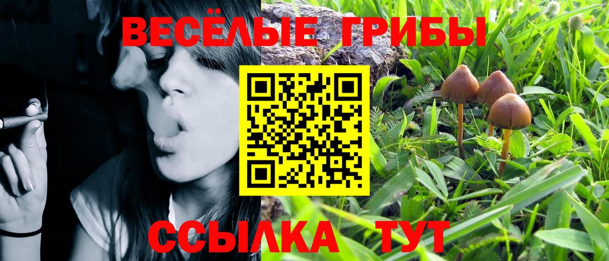 Прохладный  Псилоцибиновые грибы Psilocybe  купить наркоту  Галлюциногенные грибы Psilocybe  Вход с VPN 